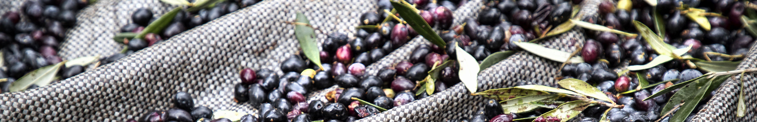 Vonatur Peloponnes Bio Olivenspezialitäten